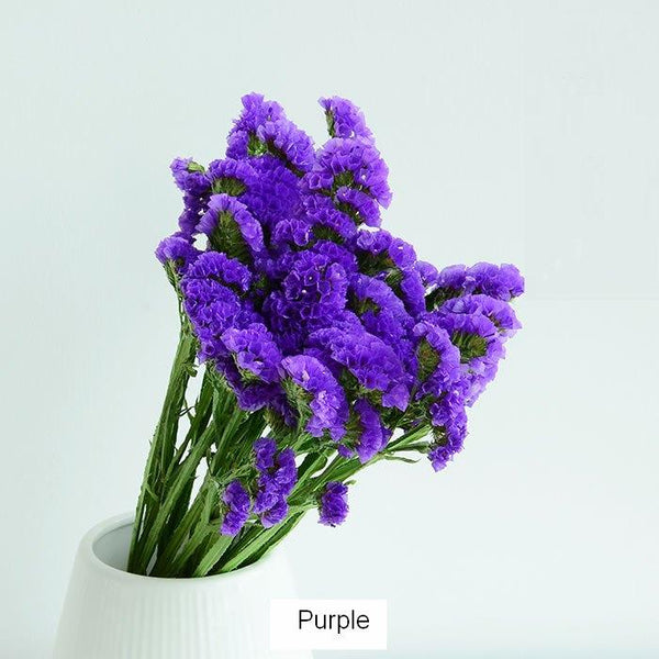 Dried Statices Flower, Dried Flowers, Flower Bunches, Dried Floral-Art Painting Canvas