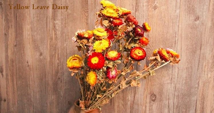 A Bunch Dried Daisy Flowers, Natural Dried Flower Arrangements – Art  Painting Canvas